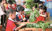 浓情端午 ，童趣安康——金港中心幼儿园端午节主题活动