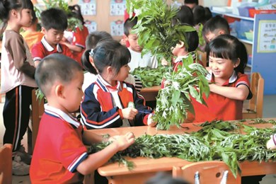 浓情端午 ，童趣安康——金港中心幼儿园端午节主题活动