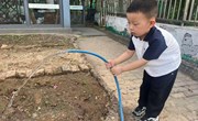 我来浇水啦