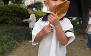 找秋叶