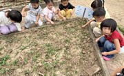 我们一起来除草