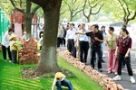 观摩促提升 赋能共成长——苏州市教育学会、苏州市陶行知研究会莅临金港中心幼儿园观摩指导
